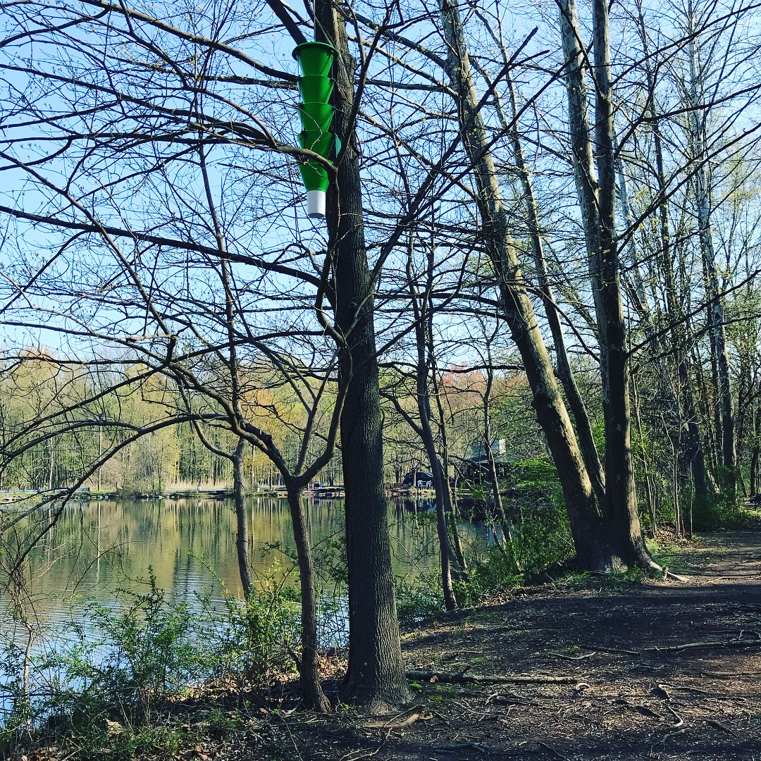 Projects – Closter Nature Center