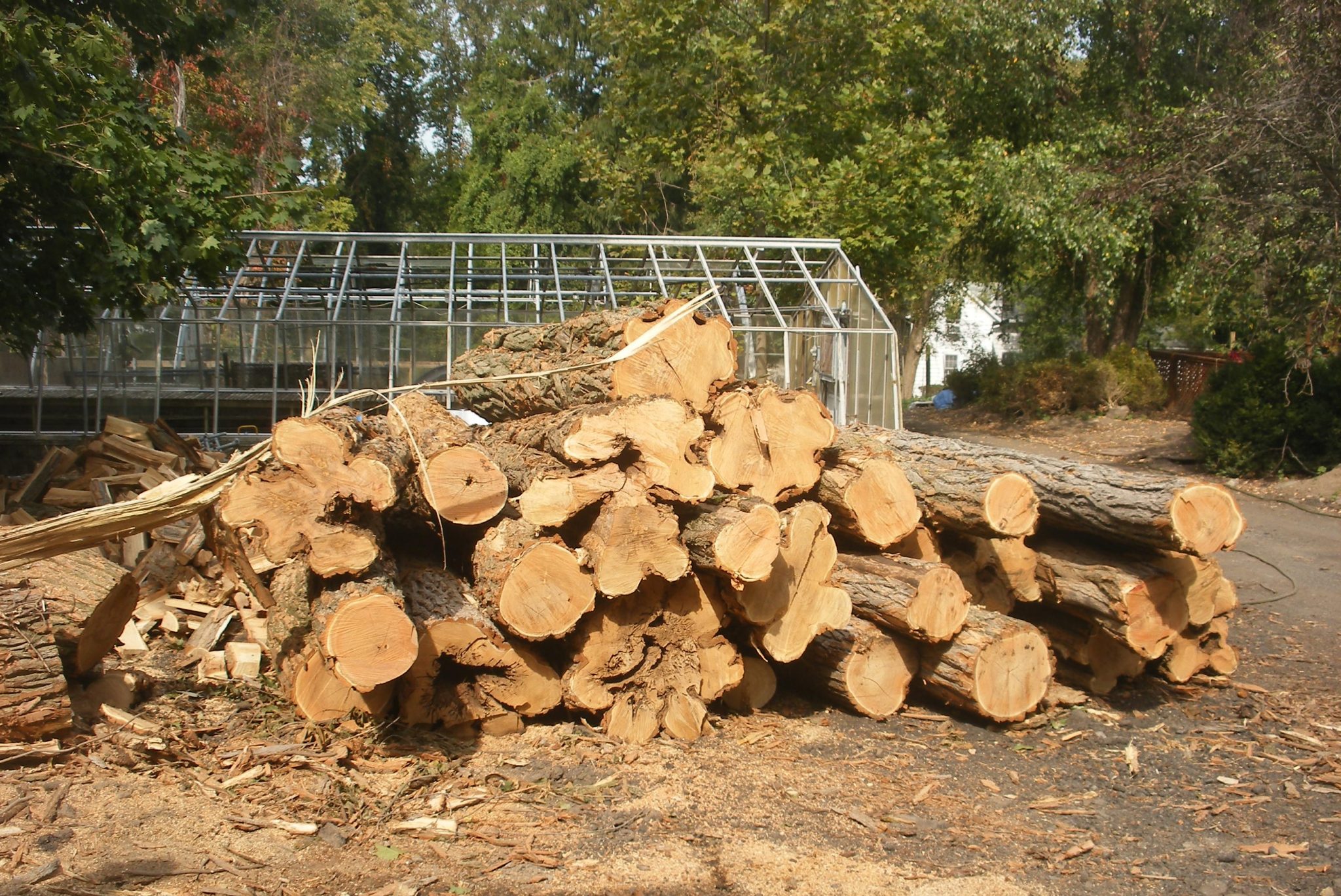 Projects – Closter Nature Center